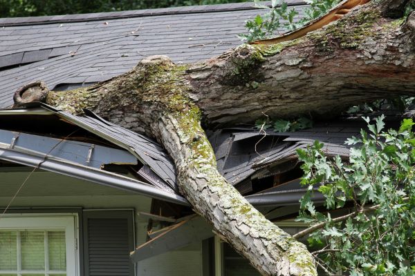 Cost of Storm Remediation in Sedona