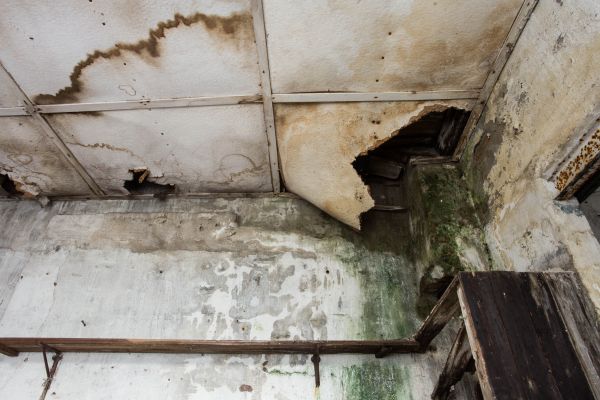 Water Damage Service in Sedona