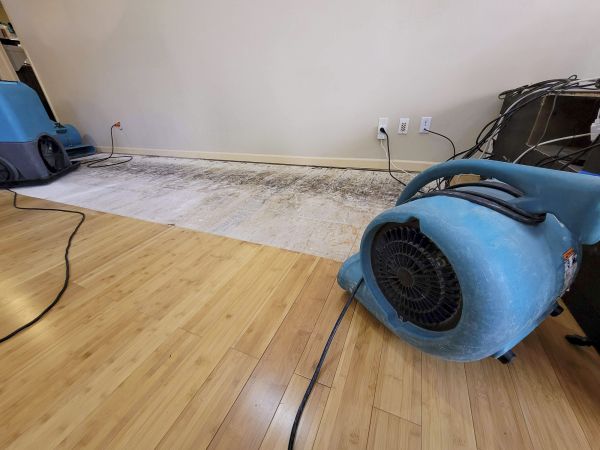 Water Damage Mitigation in Sedona