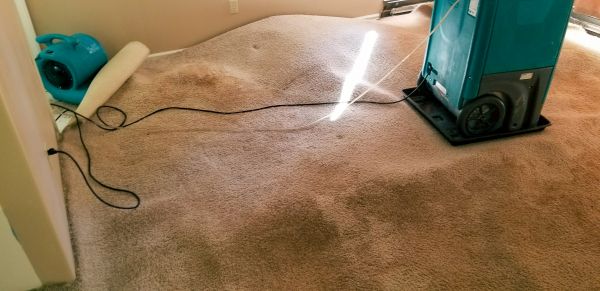 Flood Damage Cleanup in Sedona