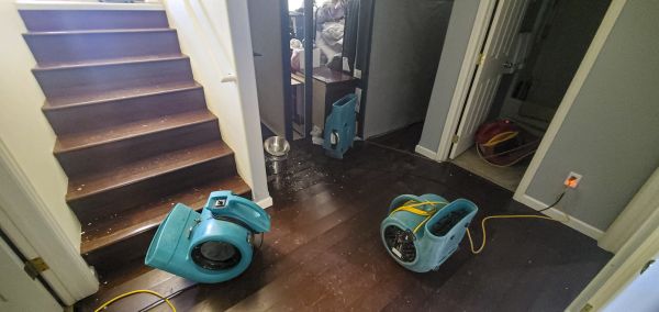 Water Damage Remediation in Sedona