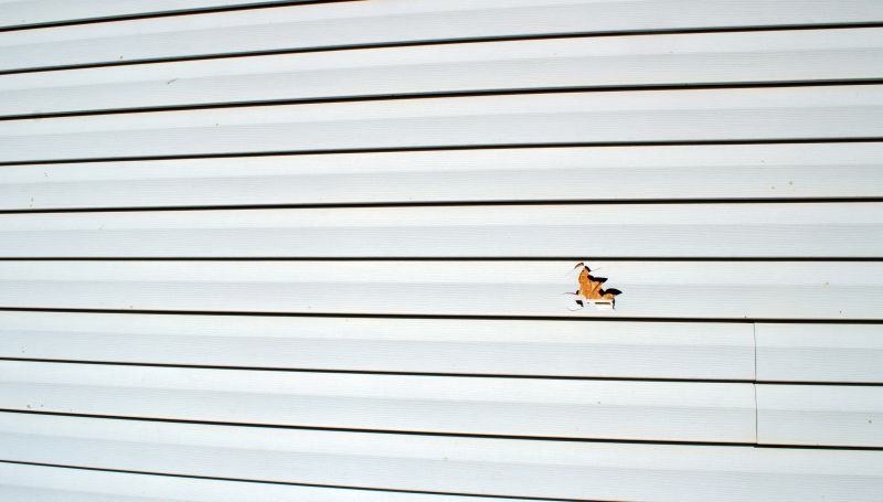 Hail Impact on Siding
